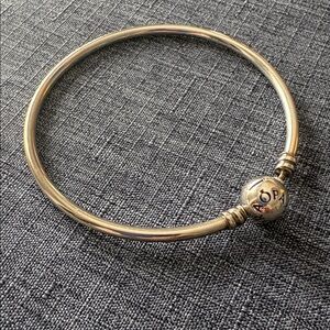 Pandora Bangle Bracelet in Sterling Silver